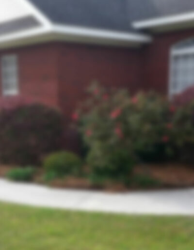 house blurred pressure washing waycross